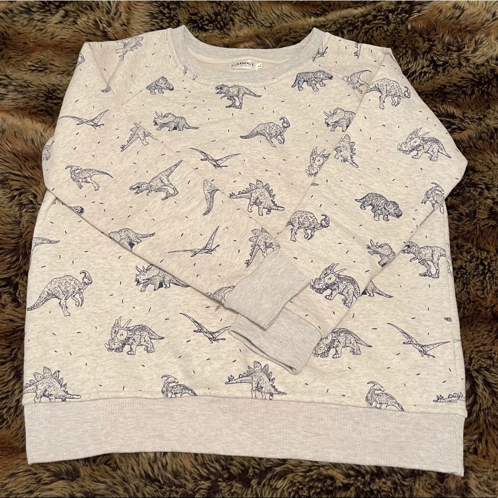 Super cool new dinosaur sweatshirt 🦕🦖